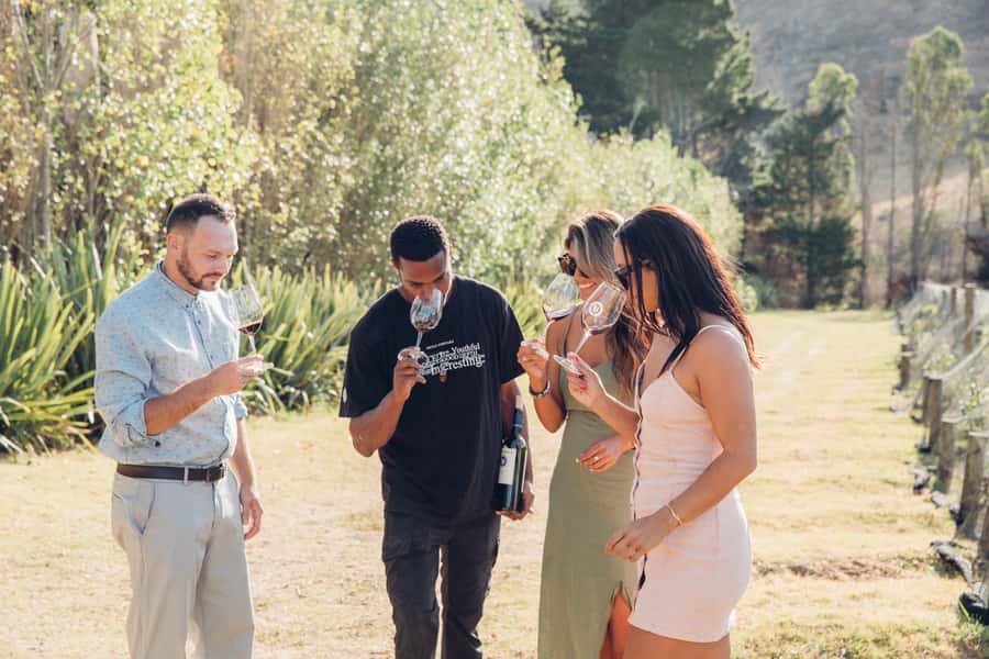 Waiheke Island: Scenic Island Wine Tour & Local Wine Tasting - Starting at Matiatia Wharf on Waiheke