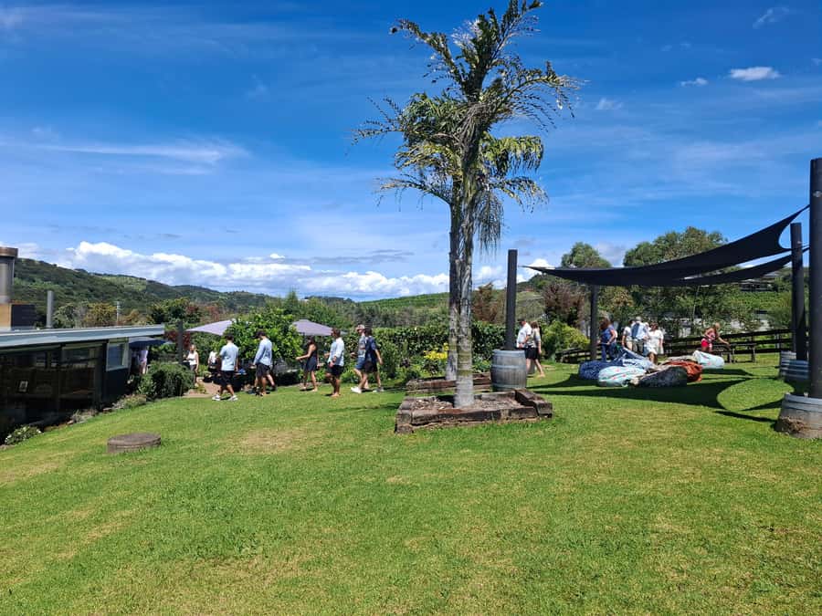 Waiheke Island: Sip and Savor 3 Vineyards Tour with Lunch - The first two vineyard tastings