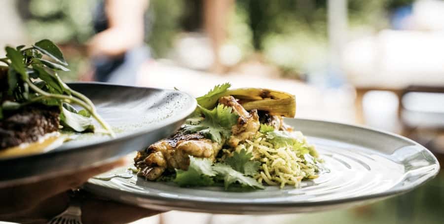 Waiheke Island: Wine Tour & Lunch at Award Winning Venue - At a glance: three wineries, one beach lunch, and a local guide