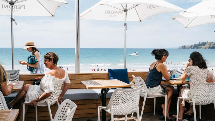 Waiheke Island: Wine Tour & Lunch at Award Winning Venue - Should you book it?