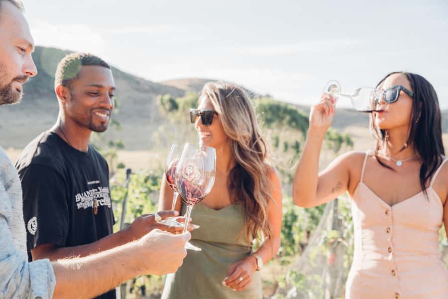 Waiheke Island: Wine Tour & Lunch at Award Winning Venue - Meeting the van at Matiatia Wharf