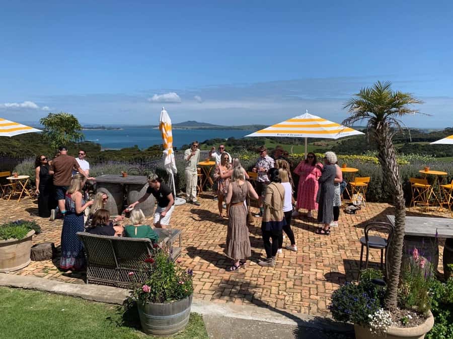 Waiheke Island: Wine Tour & Lunch at Award Winning Venue - Two more vineyards in the Onetangi Valley