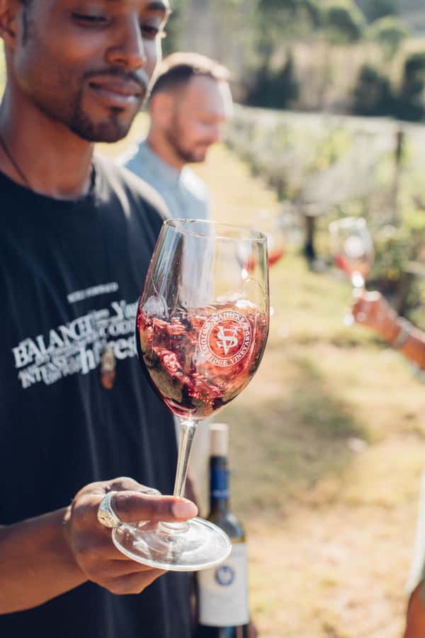Waiheke Island: Wine Tour & Lunch at Award Winning Venue - What the guide adds to the day