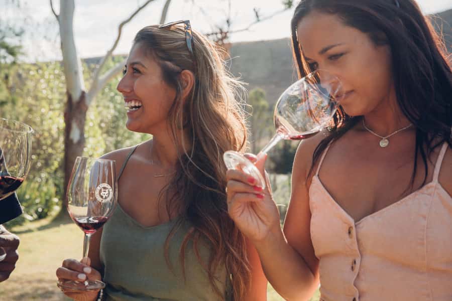 Waiheke Island: Wine Tour & Lunch at Award Winning Venue - Price, timing, and what is included