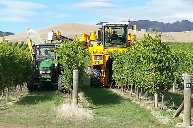 Waipara Wine Tour from Christchurch - including Lunch & Tastings - Pegasus Bay and the strongest finish for many visitors