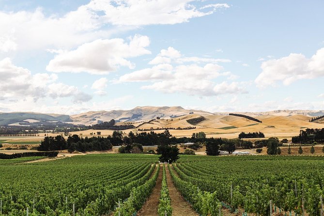 Waipara Wine Tour from Christchurch - including Lunch & Tastings - What the $117.91 price really includes
