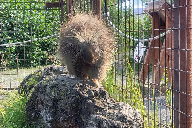 Wildlife Center with Lunch and Local Beer Sampling - Price, Timing, and Practical Details
