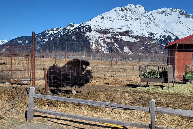 Wildlife Center with Lunch and Local Beer Sampling - Should You Book the Wildlife Center, Lunch, and Beer Tour?