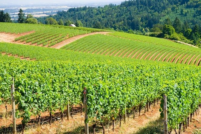 Willamette Valley Wine Tour from Portland - Leaving Portland for Oregon wine country