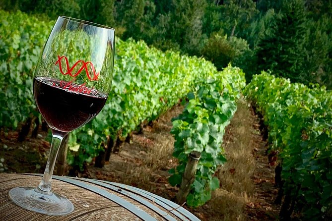 Willamette Valley Wine Tour from Portland - Timing, food, and the pace of the afternoon