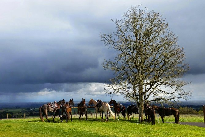 Willamette Valley Wine Tour from Portland - Who will enjoy this tour most