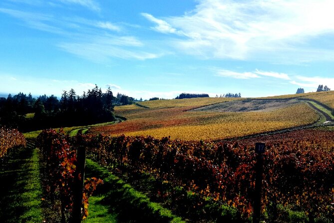 Willamette Valley Wine Tour with Lunch - Second and third wineries: variety matters