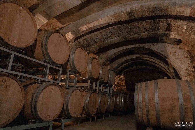 Wine and food tasting in an organic family winery - Walking through the garden, orchard, and vineyard