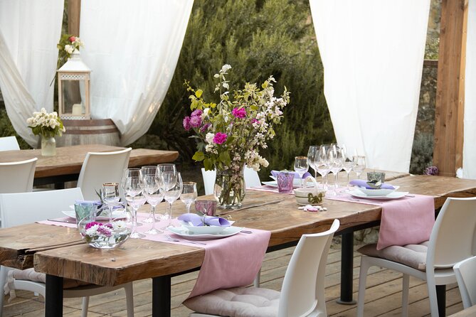 Wine and food tasting in an organic family winery - The vinsantaia and historical cellar