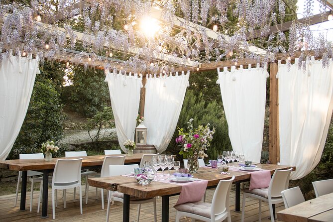 Wine and food tasting in an organic family winery - What the private format changes