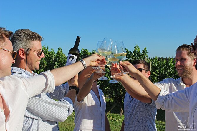 Wine and Food Tasting in the Vineyards in Lazise - A family winery 2 kilometers from Lazise
