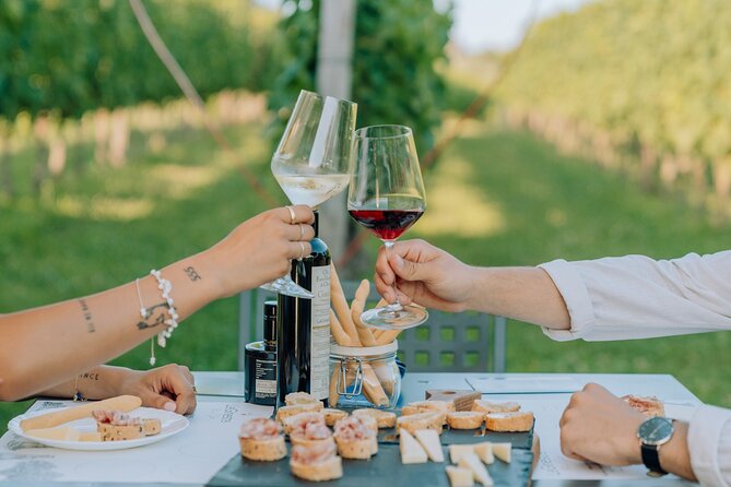 Wine and Food Tasting in the Vineyards in Lazise - Verona salami, cheese and Garda olive oil