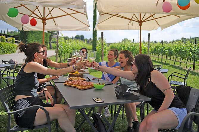 Wine and Food Tasting in the Vineyards in Lazise - Is $50.81 good value?