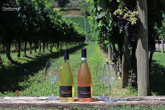 Wine and Food Tasting in the Vineyards in Lazise - Timing, access and practical planning