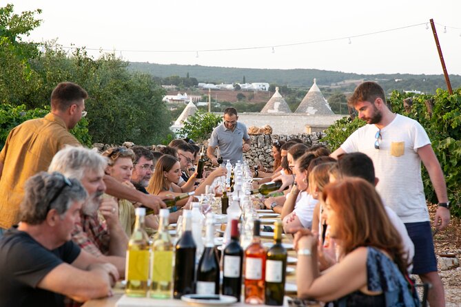 Wine Experience: vineyard, wines and food - Four wines, explained one at a time