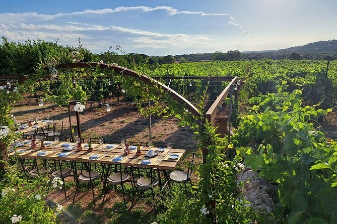 Wine Experience: vineyard, wines and food - What $35.09 buys you