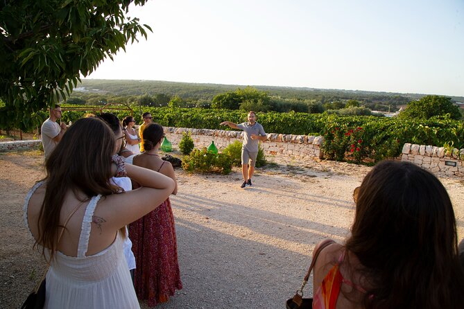 Wine Experience: vineyard, wines and food - Who will enjoy this most