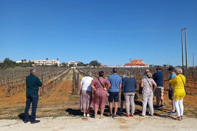 Wine Lovers: Winery Tour w/ Tasting & Tapas (Albufeira/Vilamoura) - Firewater, almond liqueur, and a sweet final stop