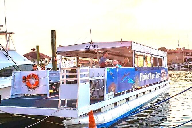 Wine Tasting Cruise in St. Augustine - Dolphins, spoonbills, and the wildlife watch