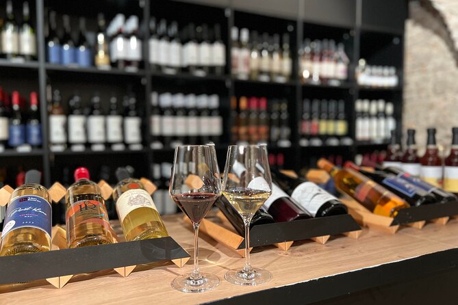 Wine Tasting IN THE DARK! - Who should book this Bratislava experience?