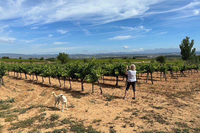 Wine Tasting in Three Boutique Wineries Tour - Max 8 people - Mas Comtal, family wine with Montserrat views