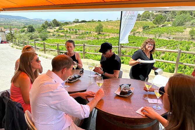 Wine Tasting in Three Boutique Wineries Tour - Max 8 people - Felix Massana Rafols and its hand-cut cellar