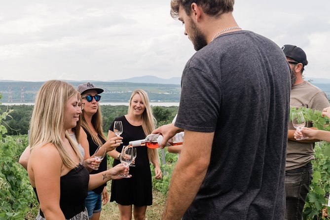 Wine Tasting on Ile d'Orleans - What the wine is like