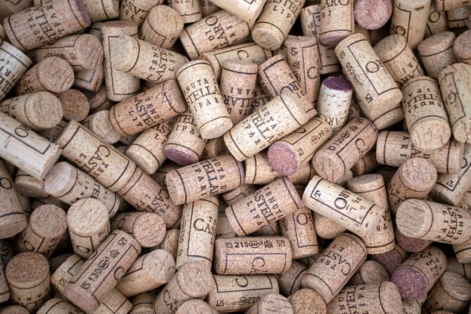 Wine tasting THE CLASSICS - How the price compares with the experience