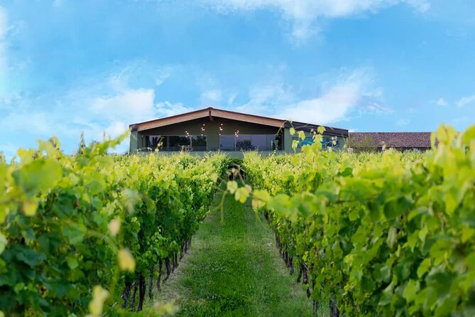 Wine Tour and Tasting of Lugana Wines in Desenzano - Who will enjoy this experience most?