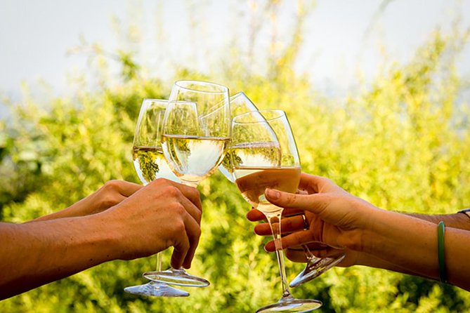 Wine Tour: Paarl, Franschhoek & Stellenbosch incl 3 wineries - Three Cape Winelands regions, one very full day