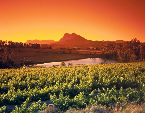 Wine Tour: Paarl, Franschhoek & Stellenbosch incl 3 wineries - The pace, the group, and the practical tradeoffs
