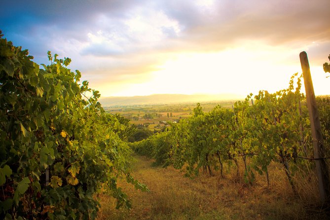 Winemaker for a Day: Tour an Organic Winery - Seeing how organic wine reaches the bottle