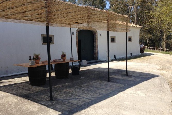 Winery tour with Wine and Olive tasting in Corfu - Who will enjoy this Corfu wine tour?