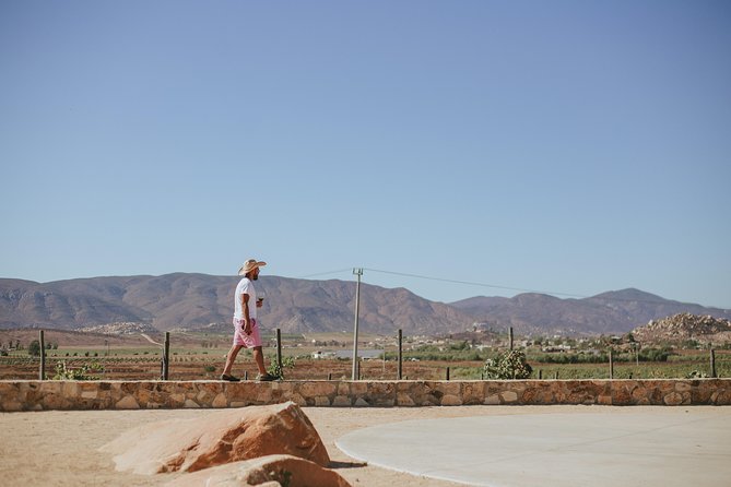 Xecue Wine Tasting in the Guadalupe Valley - The Human Side of the Visit