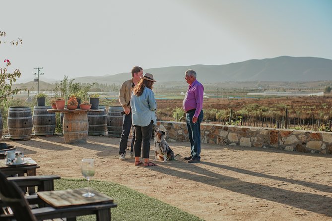 Xecue Wine Tasting in the Guadalupe Valley - What the One-Hour Format Is Worth