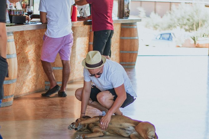 Xecue Wine Tasting in the Guadalupe Valley - Who Will Enjoy Xecue Most