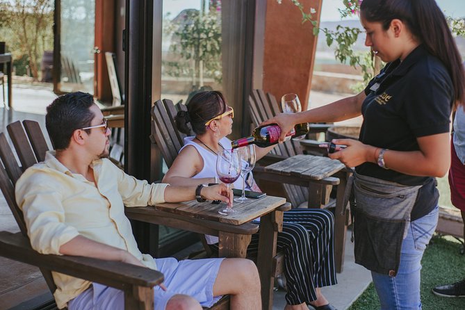 Xecue Wine Tasting in the Guadalupe Valley - Timing, Location, and Simple Planning Advice
