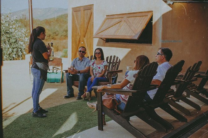 Xecue Wine Tasting in the Guadalupe Valley - Five House Wines, From White to Red