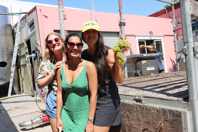 "YAMAS" - Winery tour &wine tasting - A compact visit that can stretch with questions