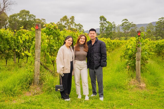 Yarra Valley Grazing Tour Wine, Cheese, Gin, Pizza from Melbourne - Healesville for coffee and a change of pace