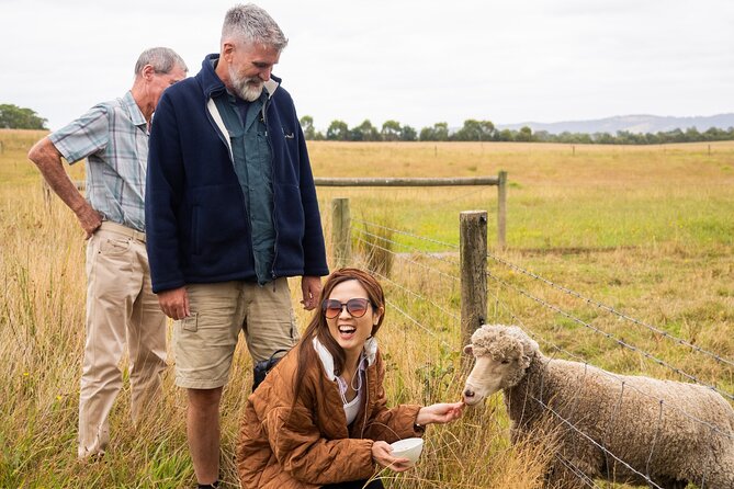 Yarra Valley Grazing Tour Wine, Cheese, Gin, Pizza from Melbourne - Guides, group size, and the feel of the day