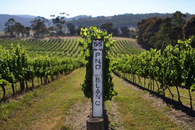Yarra Valley wine and gin tour with Champagne Lunch at Chandon! - The Kangaroo Ground stop on the way back