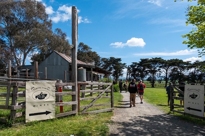 Yarra Valley Wine & Winery Tour from Melbourne - All Inclusive! - Why this Yarra Valley tour works as a Melbourne day out